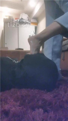 图片[9]_盈盈】舔主人的老爹鞋/裸足插嘴