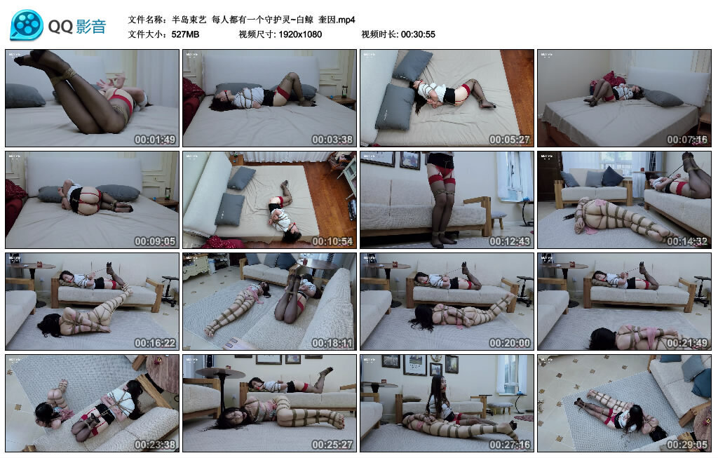 【半岛束艺】每人都有一个守护灵~白鲸 奎因_绳艺库视频下载