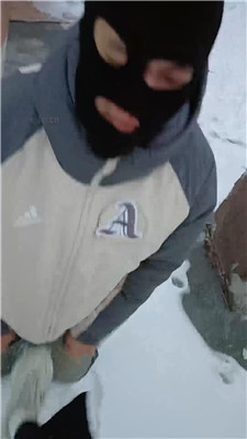 图片[2]_Esse殿停雪窖冰天户外遛狗完好版