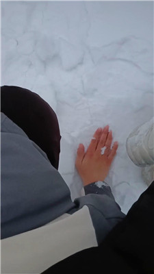 图片[4]_Esse殿停雪窖冰天户外遛狗完好版