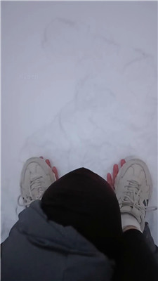 图片[7]_Esse殿停雪窖冰天户外遛狗完好版