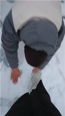 图片[6]_Esse殿停雪窖冰天户外遛狗完好版