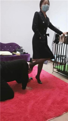 图片[3]_凌儿骑马转胯/高跟踏喂食/口水