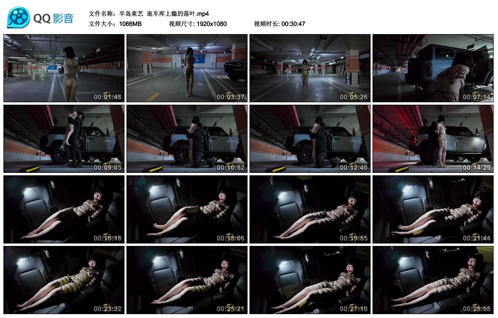 【半岛束艺】 逛车库上瘾的落叶_绳艺库视频下载