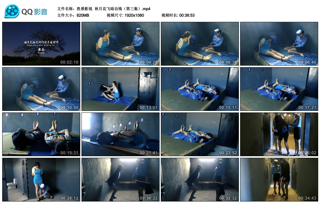 【胜景影视】 秋月花飞暗自殇（第三集）_绳艺库视频下载