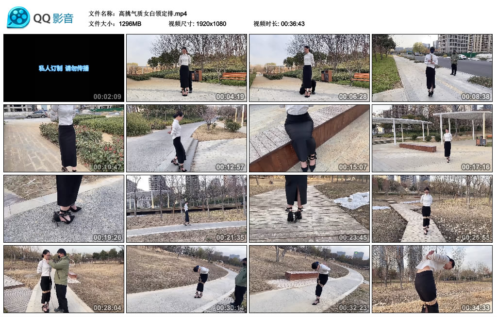 高挑气质女白领定排_绳艺库视频下载