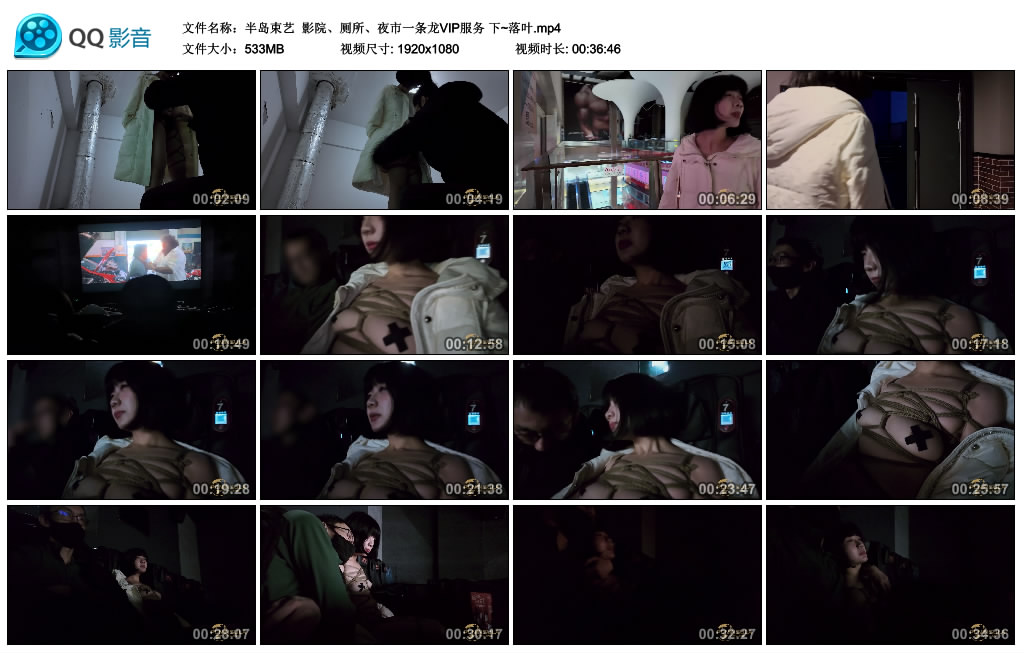 【半岛束艺】 影院、厕所、夜市一条龙VIP服务 下~落叶_绳艺库视频下载