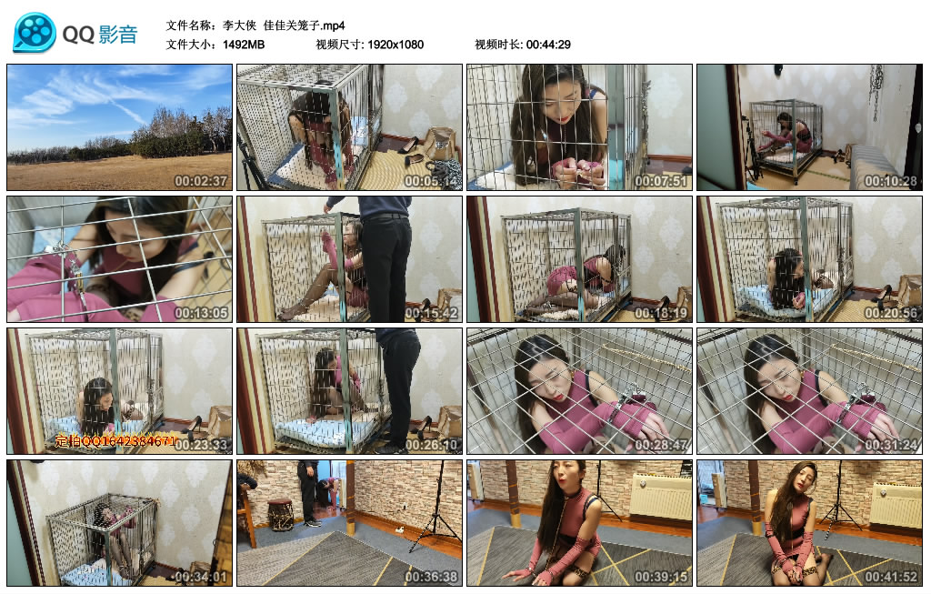 【李大侠】 佳佳关笼子_绳艺库视频下载
