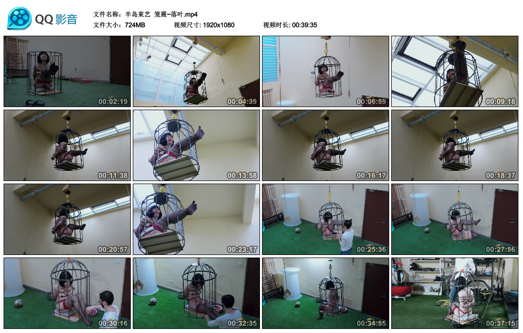 【半岛束艺】 笼震~落叶_绳艺库视频下载