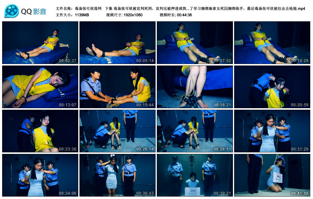 【胜景影视】 毒枭张可欣落网  下集_绳艺库视频下载