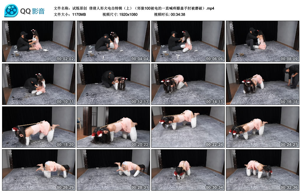 试炼原创 -  倩倩人形犬电击特辑（上）郊狼100被电的一直喊疼膝盖手肘被磨破_绳艺库视频下载