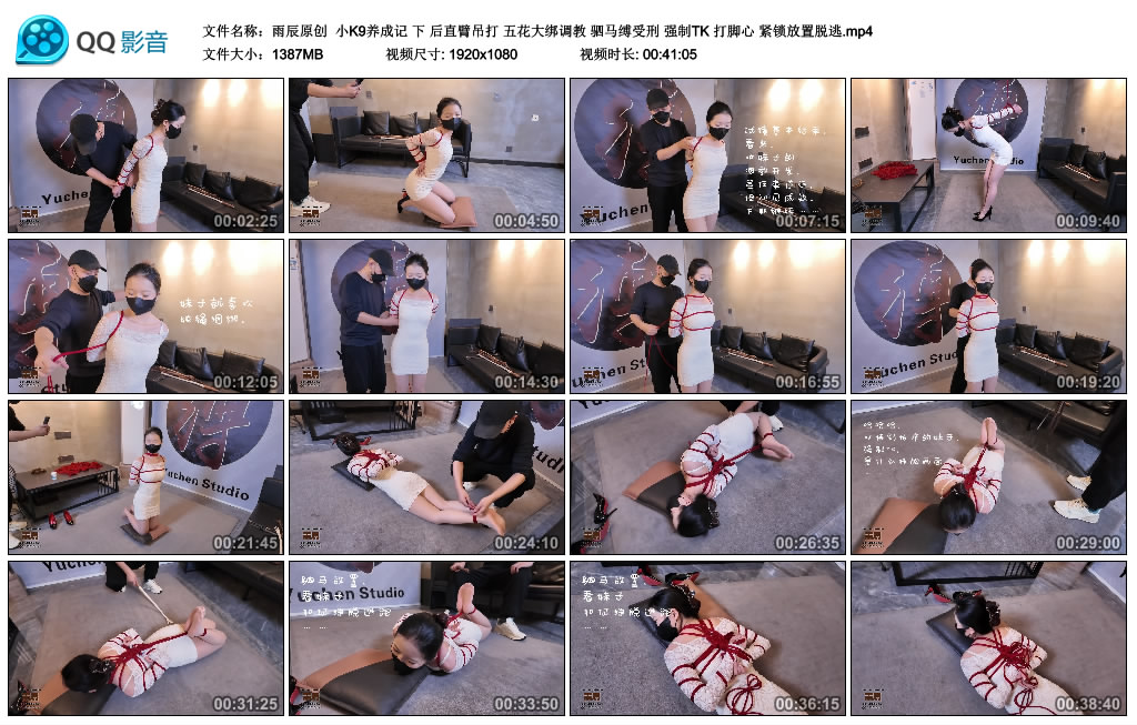 【雨辰原创】小K9养成记（下）_绳艺库视频下载