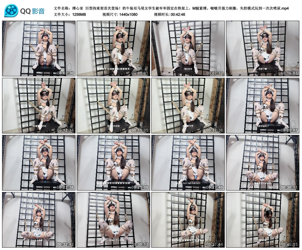 【缚心室】巨型拘束架首次登场！奶牛装双马尾女学生被牢牢固定在铁架上，M腿紧缚。啵..._绳艺库视频下载