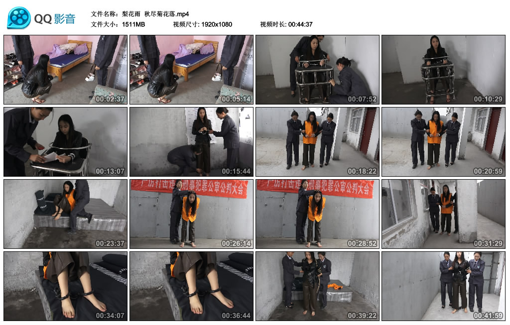 【梨花雨】 秋尽菊花落_绳艺库视频下载