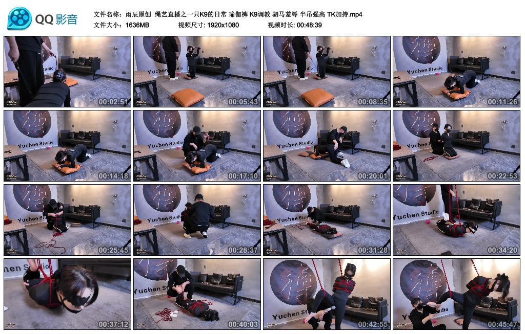 【雨辰原创】绳艺直播之一只K9的日常 瑜伽裤 K9调教 驷马羞辱 半吊强高 TK加持_绳艺库视频下载