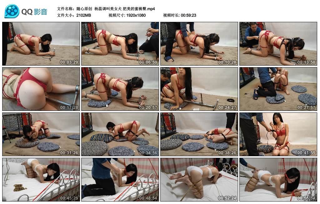 【随心原创】 杨蕊调叫美女犬 肥美的蜜桃臀_绳艺库视频下载