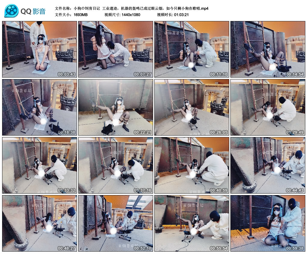 【小狗の饲育日记】 工业遗迹，机器的轰鸣已成过眼云烟，如今只剩小狗在歌唱_绳艺库视频下载